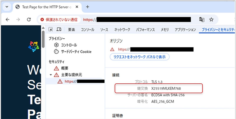  ハイブリッド鍵交換を扱えるブラウザで上記の nginx に接続した画面 