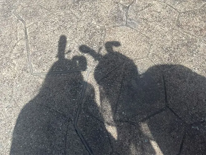 ディズニーランドでの記念写真