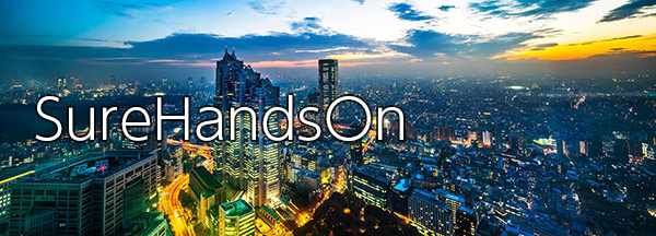 大企業向けマネージドサービス - SureHandsOn