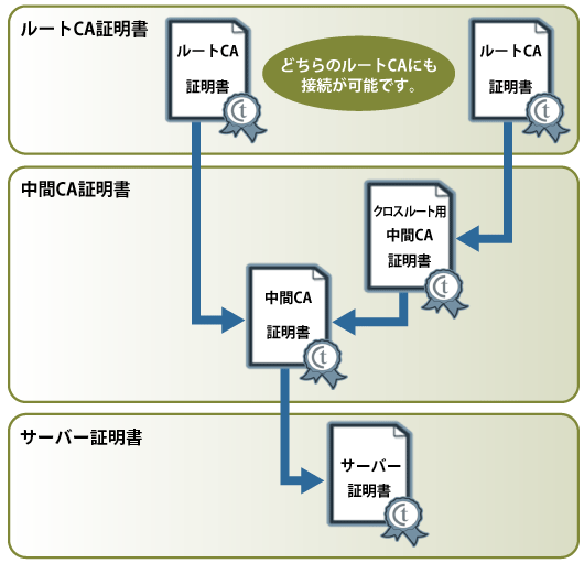 クロスルート方式の証明書階層