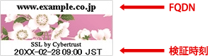 FQDN と検証時刻の表示
