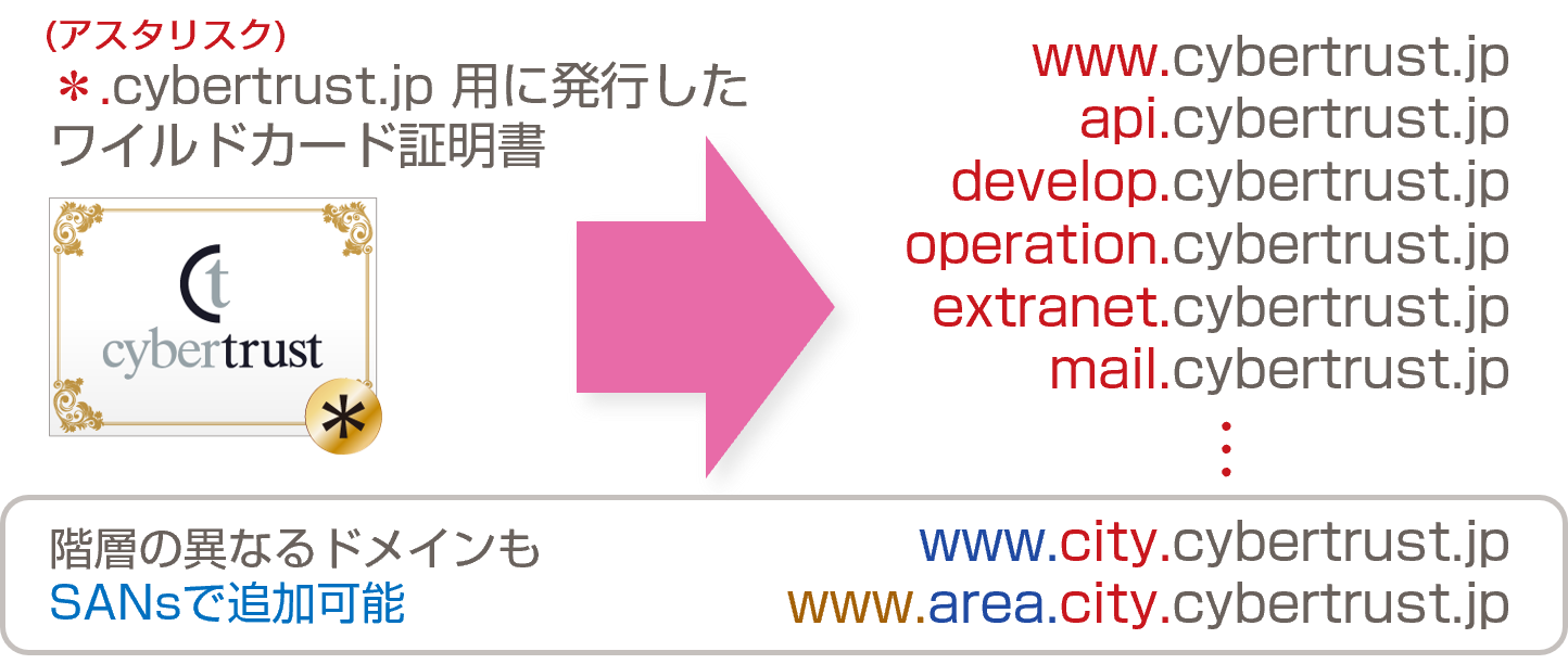 ワイルドカード証明書 イメージ図