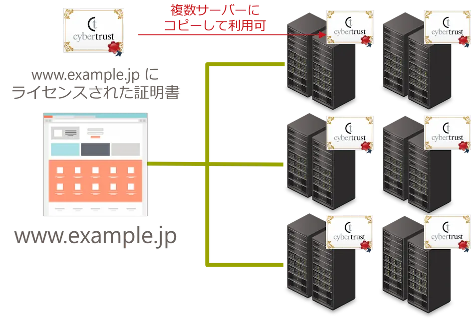 FQDN ライセンス：www.example.jp が 3 台のウェブサーバーで運用されていた場合であっても、ライセンスは www.example.jp に対して行われているので、必要なライセンス数は１ライセンスとなります。