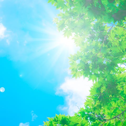 証明書の更新をご希望のお客様