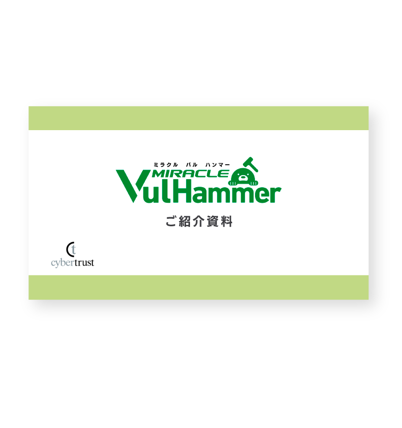 MIRACLE Vul Hammerサービス資料